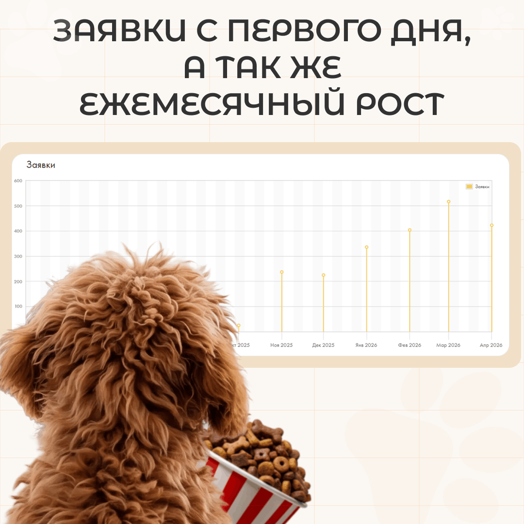 SEO продвижение питомника мальтипу