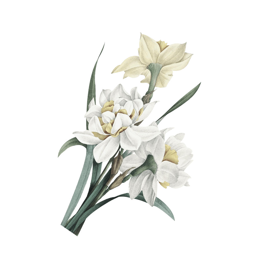 натуральная косметика, магазин профессиональной косметики, крем для ног, крем для ног с мочевиной, крем для ног купить, масло для ногтей, масло монарды для ногтей, масло для ногтей купить, косметика для ногтей, дезодорант для ног