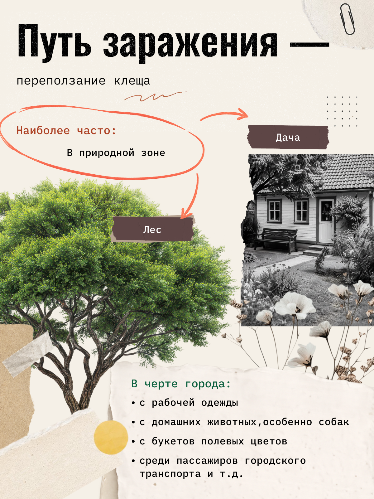 Карточка 3