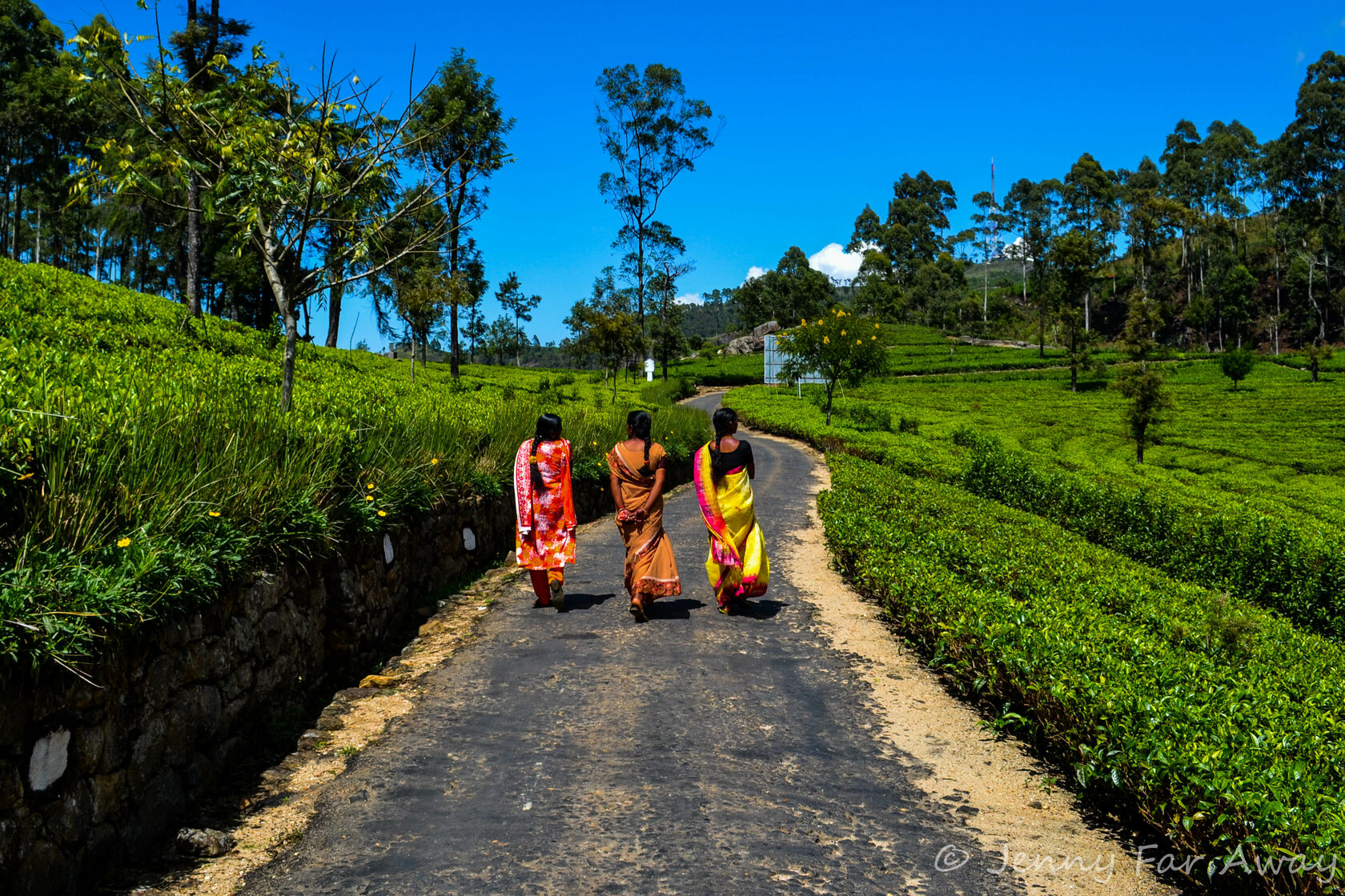 Sri lanka sxx