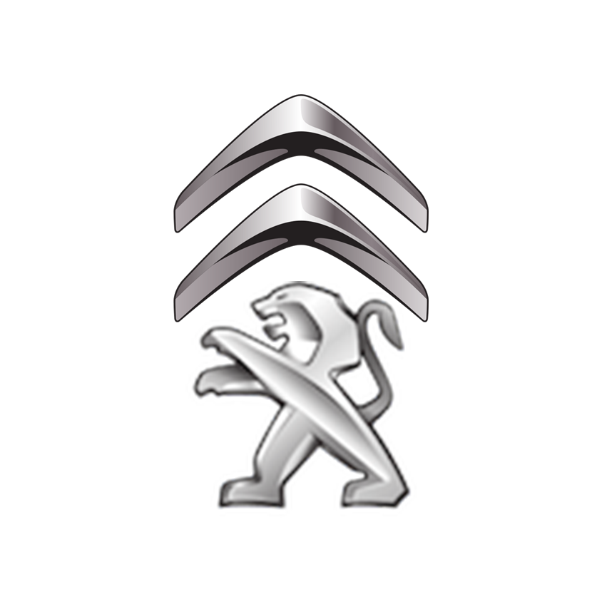 #OMGauto | Подбор авто и диагностика Citroen перед покупкой в СПБ, Мск ...