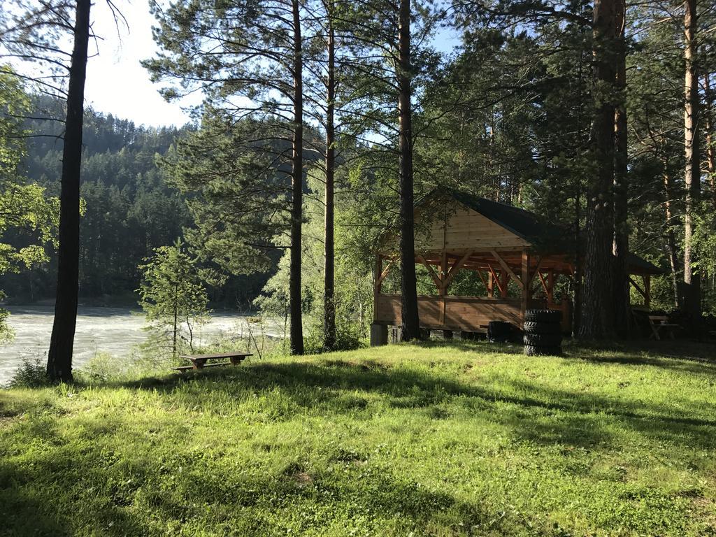 Номер в лесу. Самарская область турбаза Лесная сказка. Аскат Сосновый Бор. База отдыха «Лесной шалаш». Турбаза Лесная сторожка.