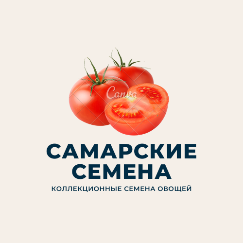 Семена самара стара. Самарские семена томатов Песчаная Глинка. ФХ Самарские семена. Томат Самарский. Самарские семена Песчаная Глинка 26 каталог.