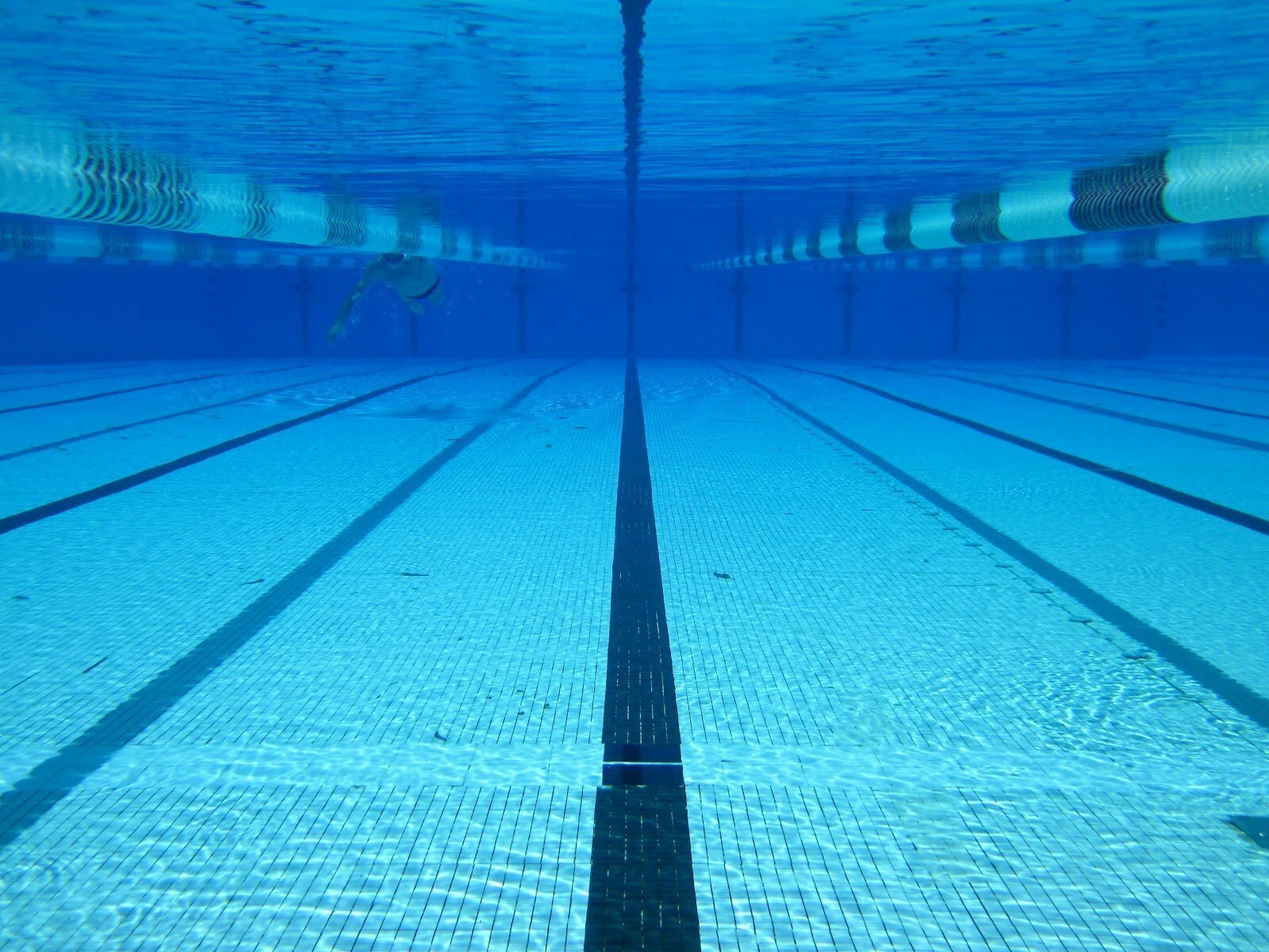 Swim pool. Бассейн с дорожками. Бассейн под водой. Дорожки плавательного бассейна.