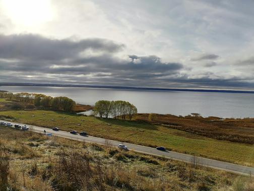 Палеонтологические находки Paleo Tours от организаторов и участников