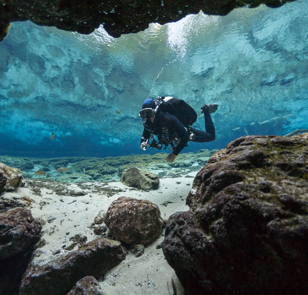 Продолжение обучения фридайвингу на курсе NDL Free Diver Level II в СПБ