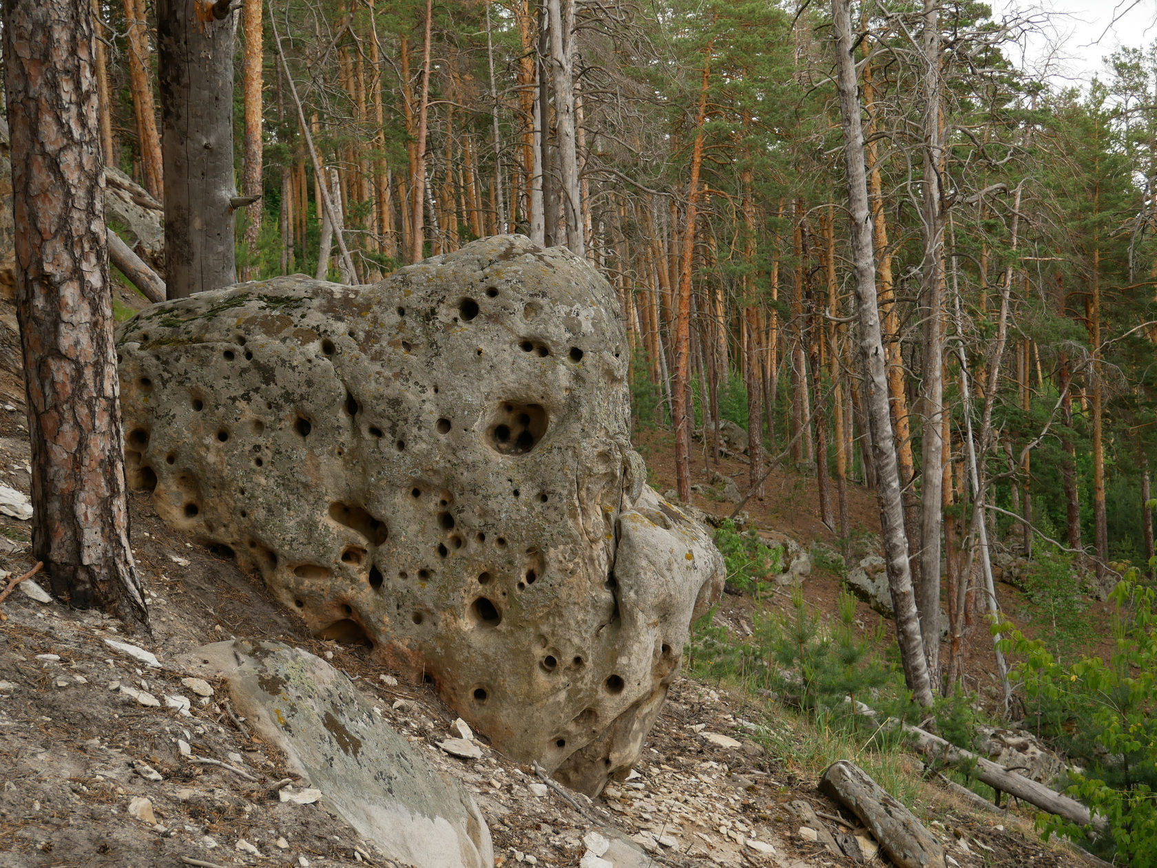 Сколько живет камень. Рачейские скалы Самарская область. Странные камни. Кремниевые деревья. Кремниевая жизнь.