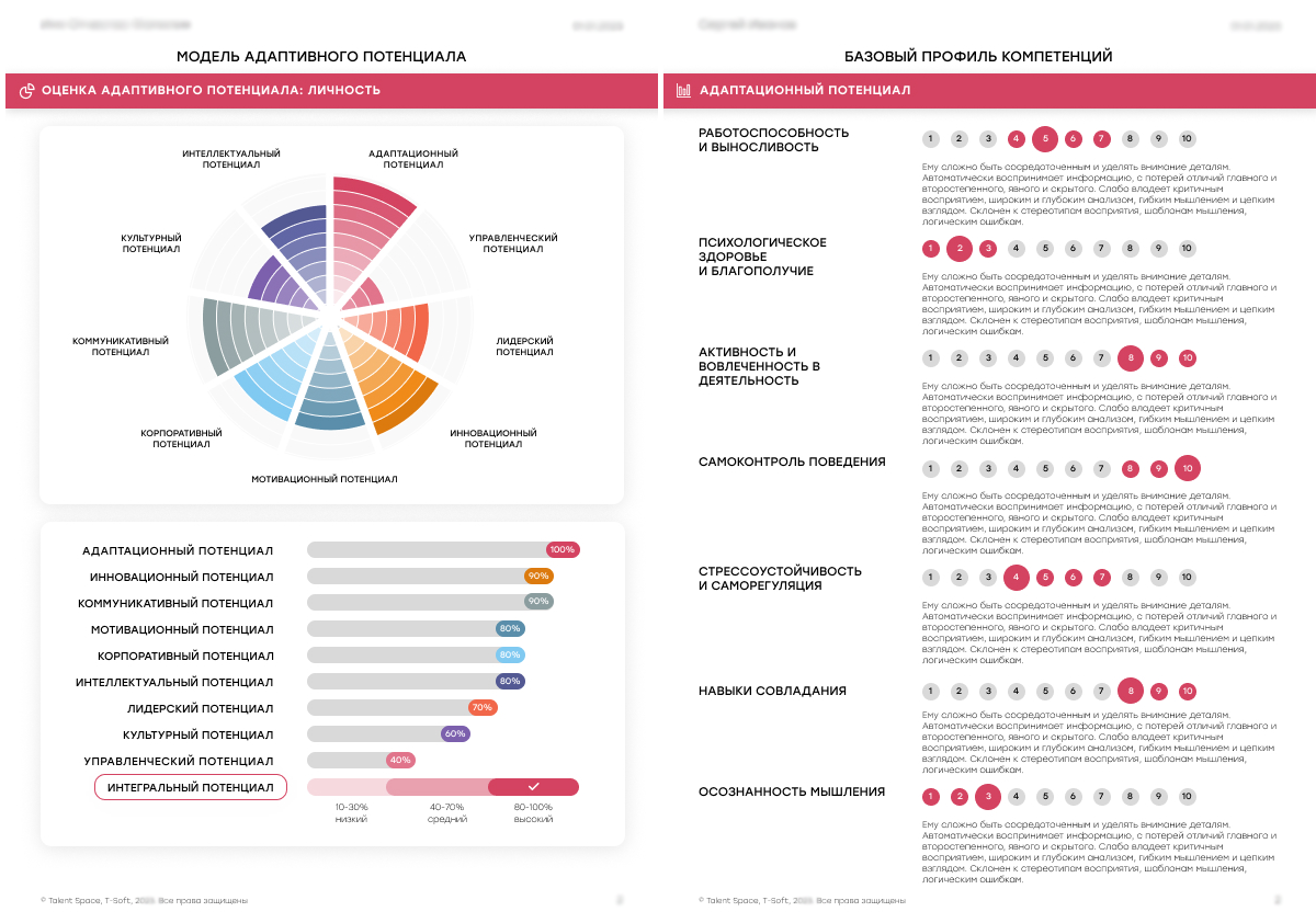 Отчет по оценке кандидата BEYOND TALENT Сервис Тестирования для Персонала при приеме на работу
