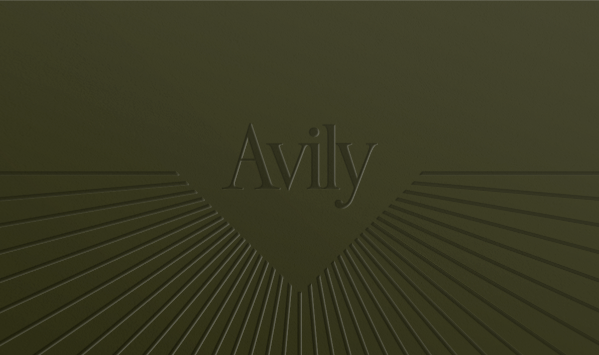 Разработка айдентики для чартерной авиакомпании