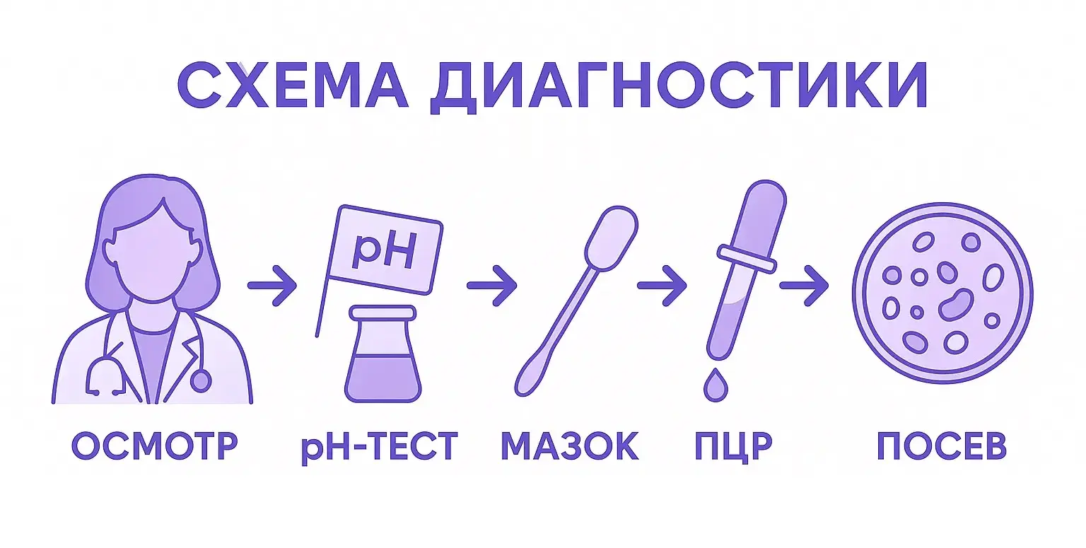 схема диагностики интимной зоны