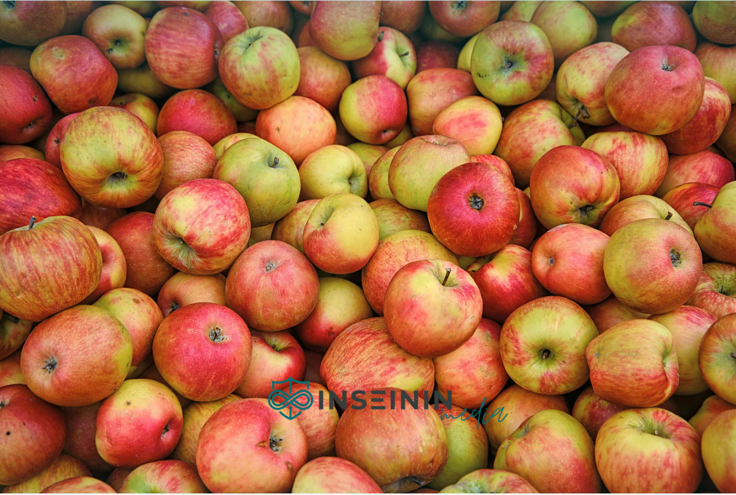 Що буде з організмом якщо кожен день їсти яблука?