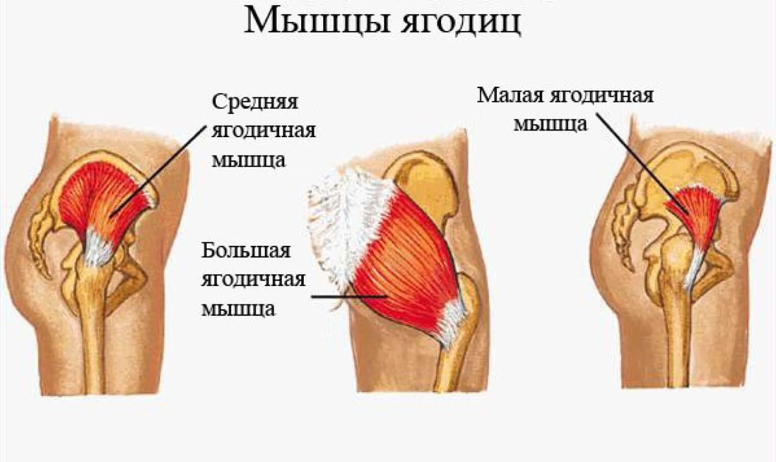 Лечение боли в ягодицах в Алматы