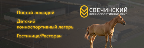 svechinsky.ru