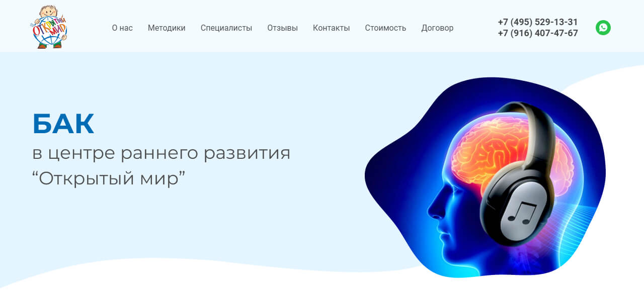 БАК в детском развивающем центре "Открытый мир" в Балашихе