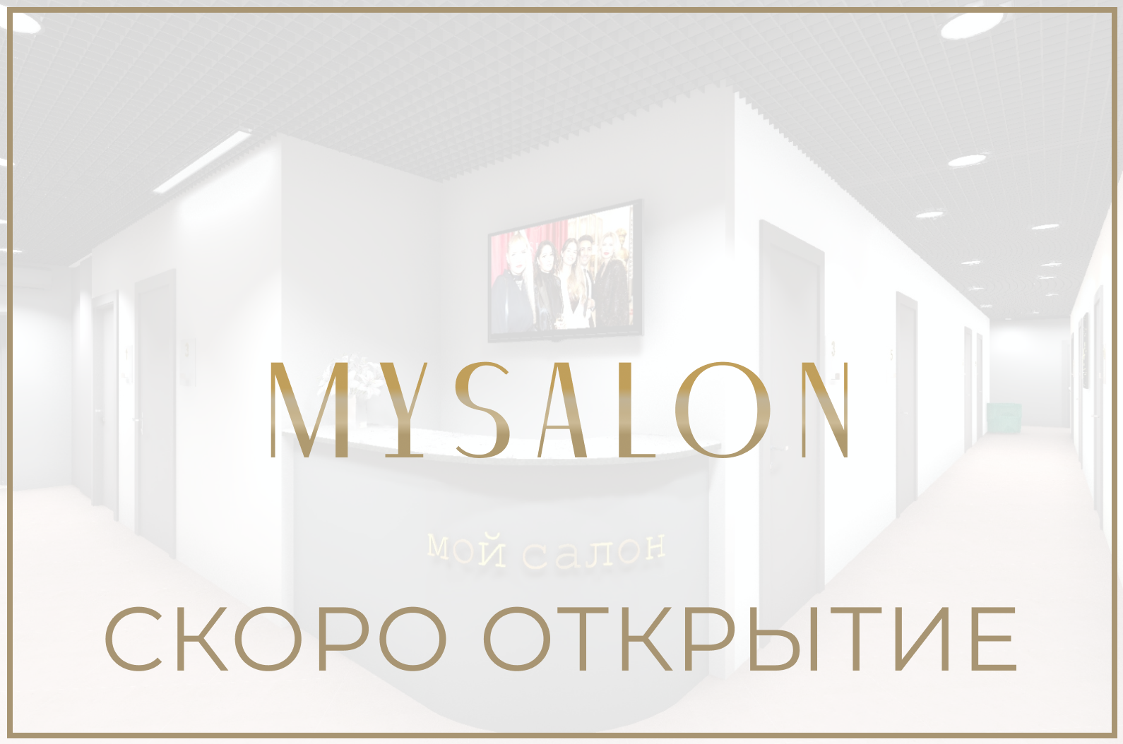 Сеть бьюти коворкингов | MySalon