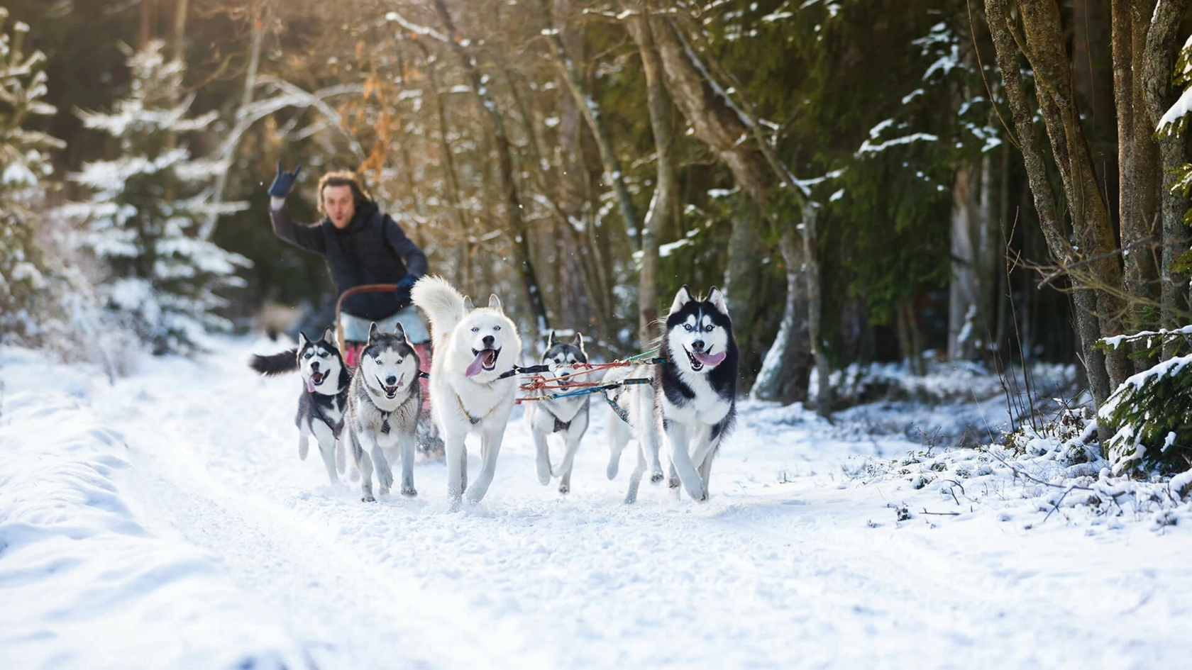 фото парня и девушки на романтическом свидании в публичном месте