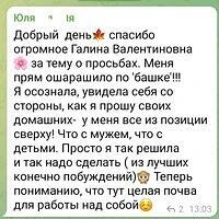 Отзыв клиентки Елены, экономиста — скриншот переписки