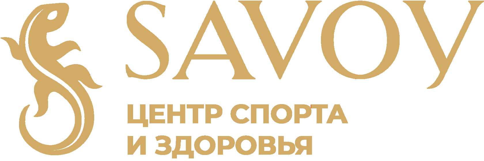 Савой велнесс. Ночной клуб сова. Сава клуб. Savoy чистые пруды. Savoy фитнес чистые.