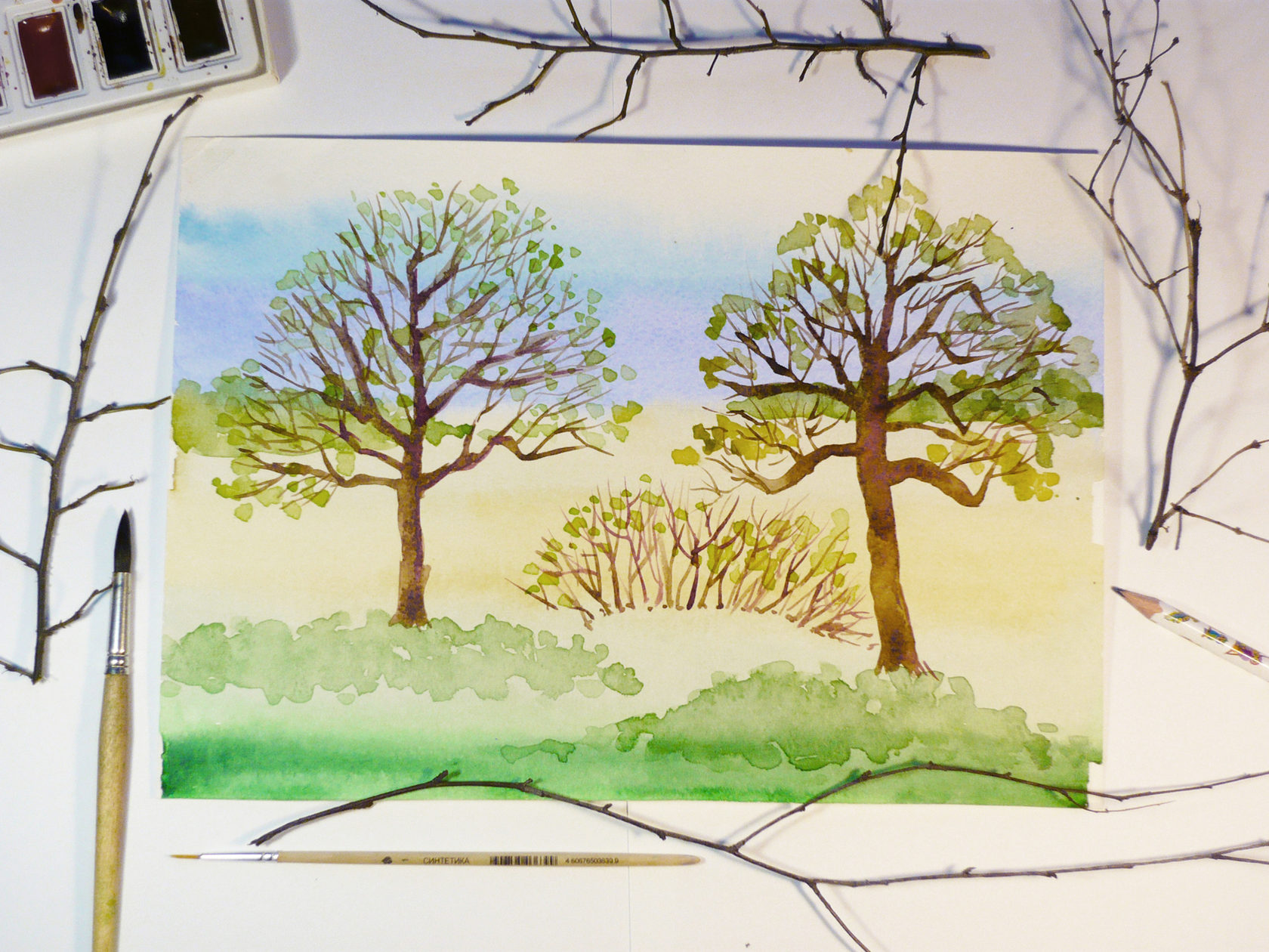 Весенний пейзаж 3 класс поэтапное рисование. Уроки рисования дерево. Деревья акварелью. Уроки рисования деревья акварель. Рисуем деревья акварелью.