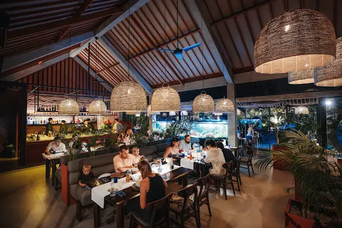 Guests enjoying a modern top dinner in Ubud inside a bright, stylish restaurant space adorned with large woven lampshades and a beautiful aquarium in the background.