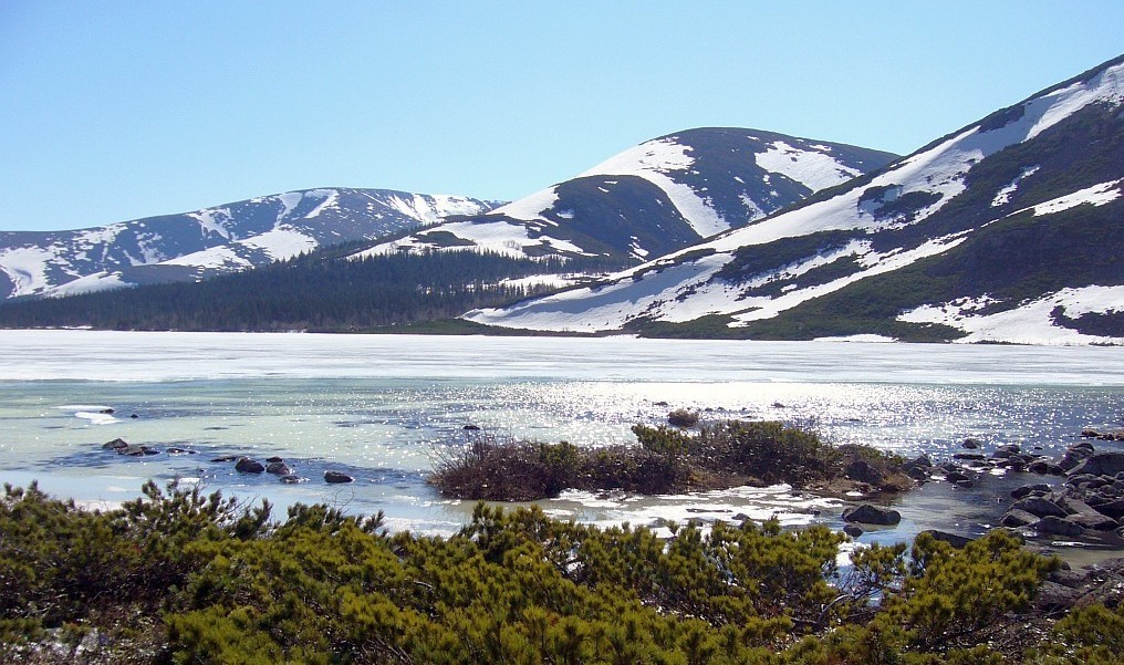 Сулук хабаровский край фото