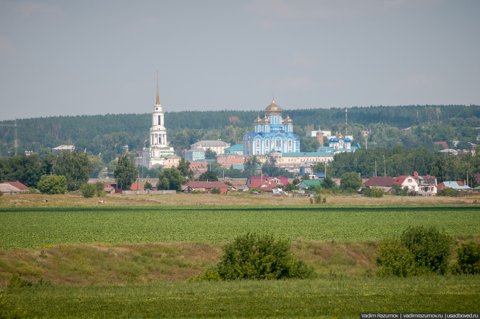 Богородицкий монастырь (Сызрань)