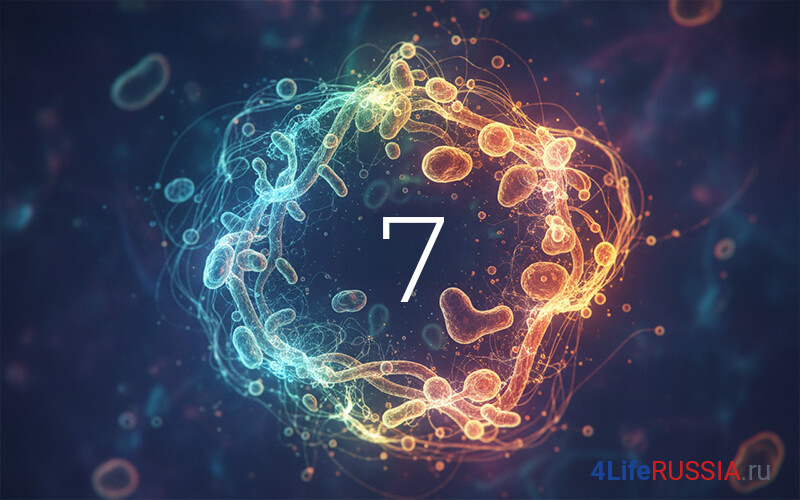 4Life Transfer Factor: абстрактная иллюстрация иммунной активности за 7 дней — цифра 7 в кольце «клеток» (сине-оранжевая композиция)