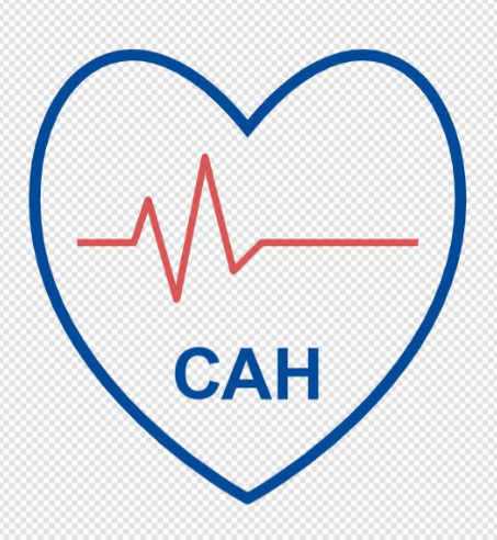 САН, Кабинет кардиолога, аритмолога Сульдиной Анны Николаевны