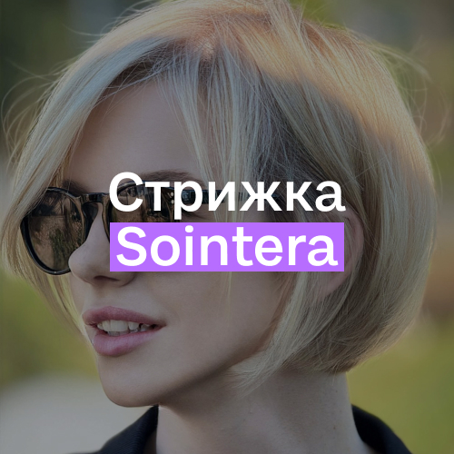sointera-biz.ru