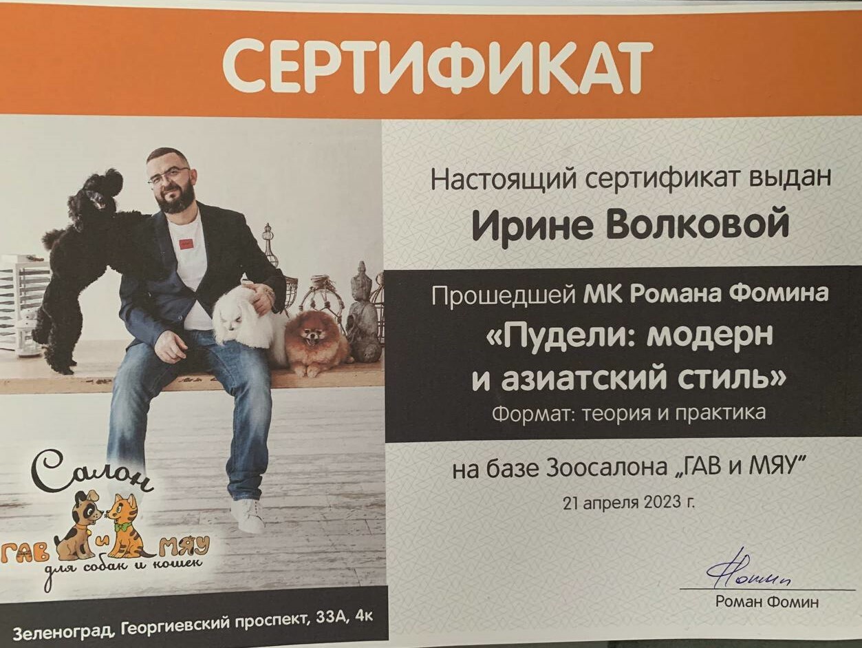 Груминг салон Spa Dogs для собак и кошек в г. Зеленоград