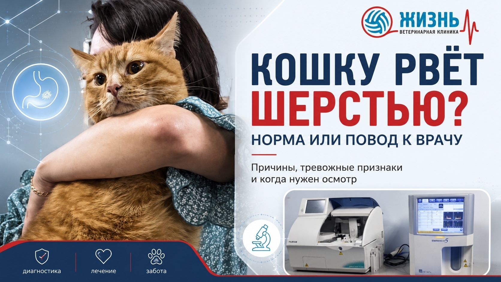 Ветеринраная клиника в Калуге Жизнь