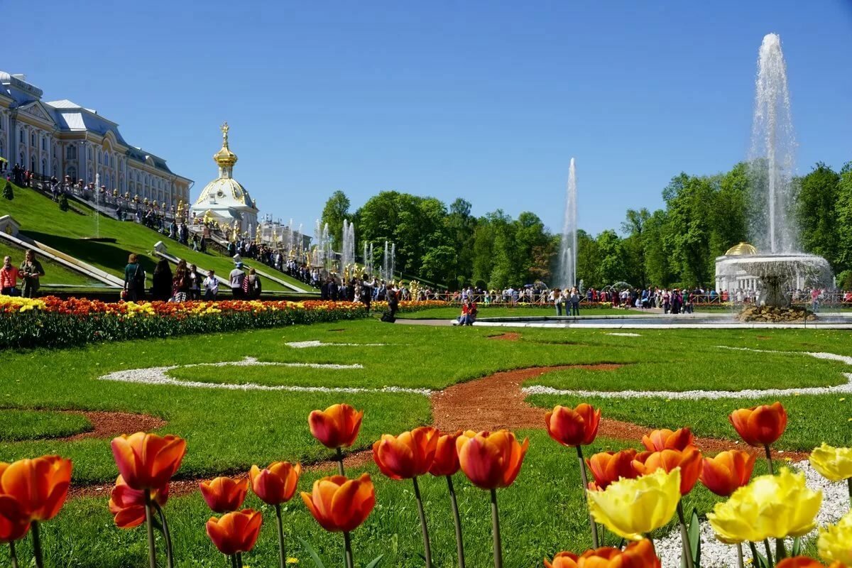 Нижний парк в петергофе