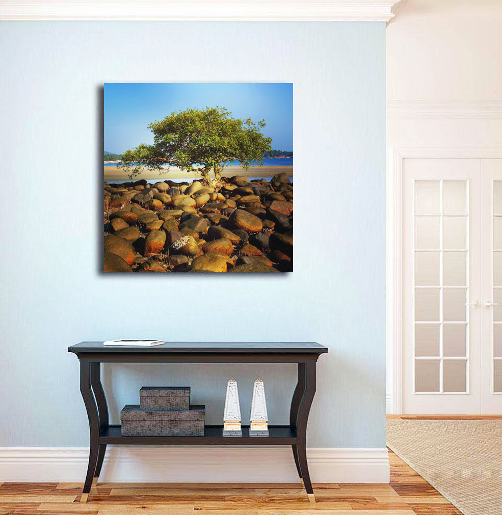 Фотография на стену. Дерево на пляжею