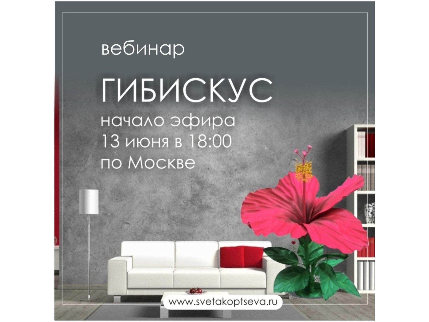 Интернет Магазин Цветы Светланы Отзывы