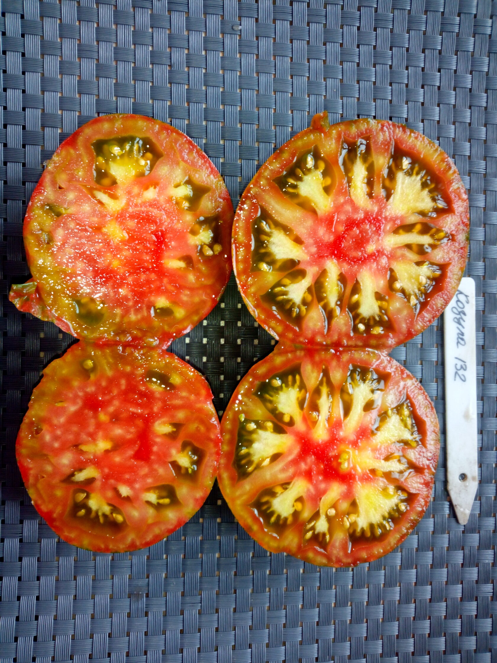 Козула 132 (Kozula 132)