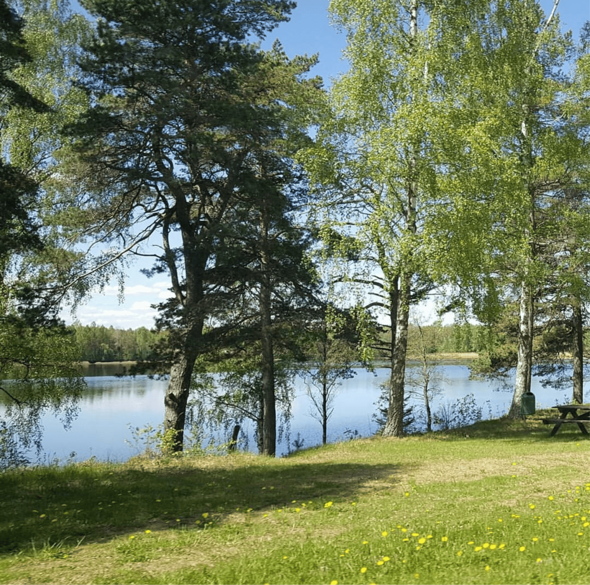 Природа в разные сезоны