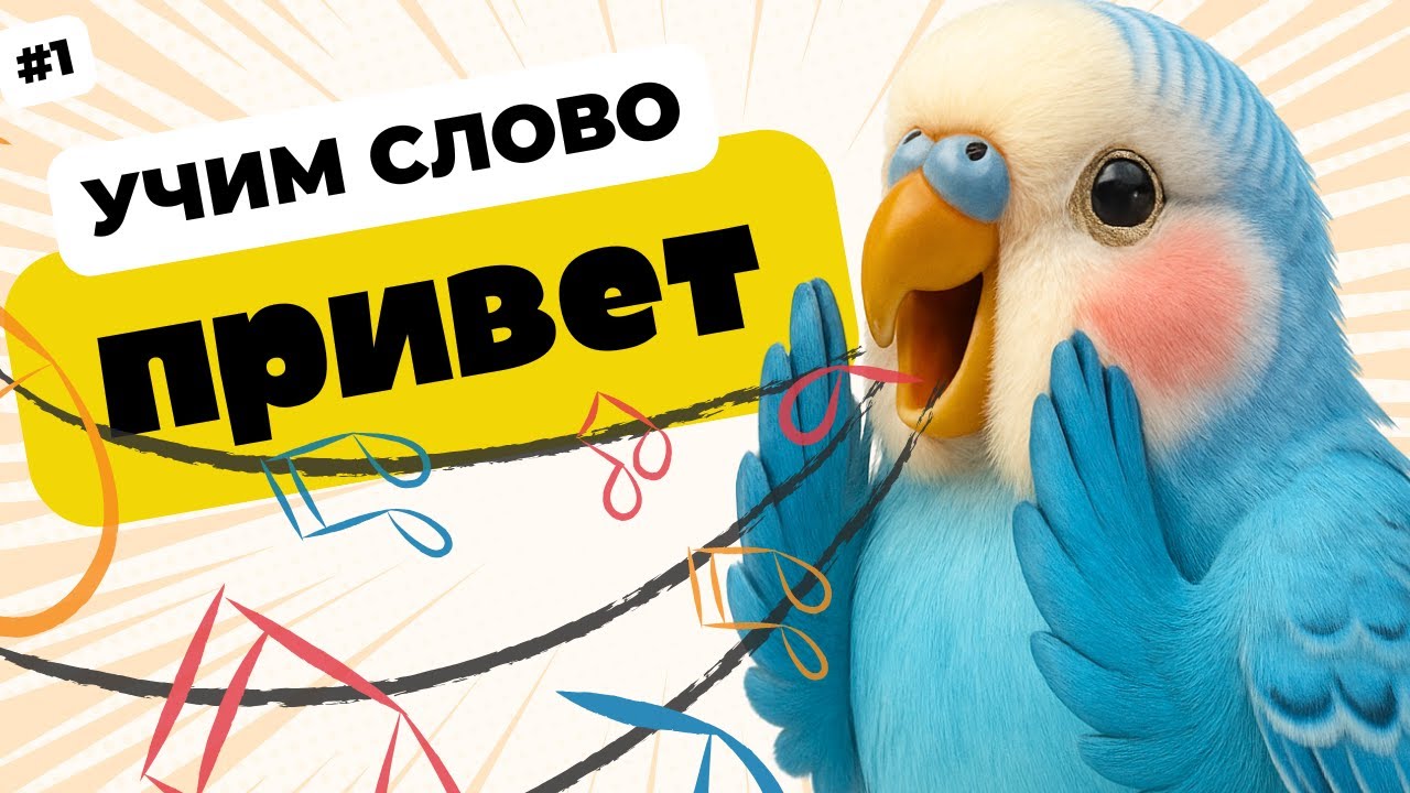 говорящий попугай говорит привет