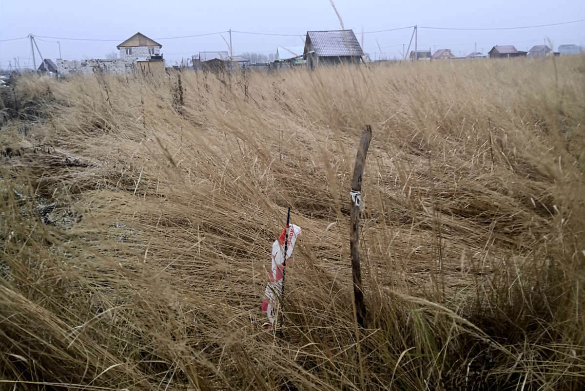 Геодезия в Раменском р-не [компания «Топографъ», ООО]