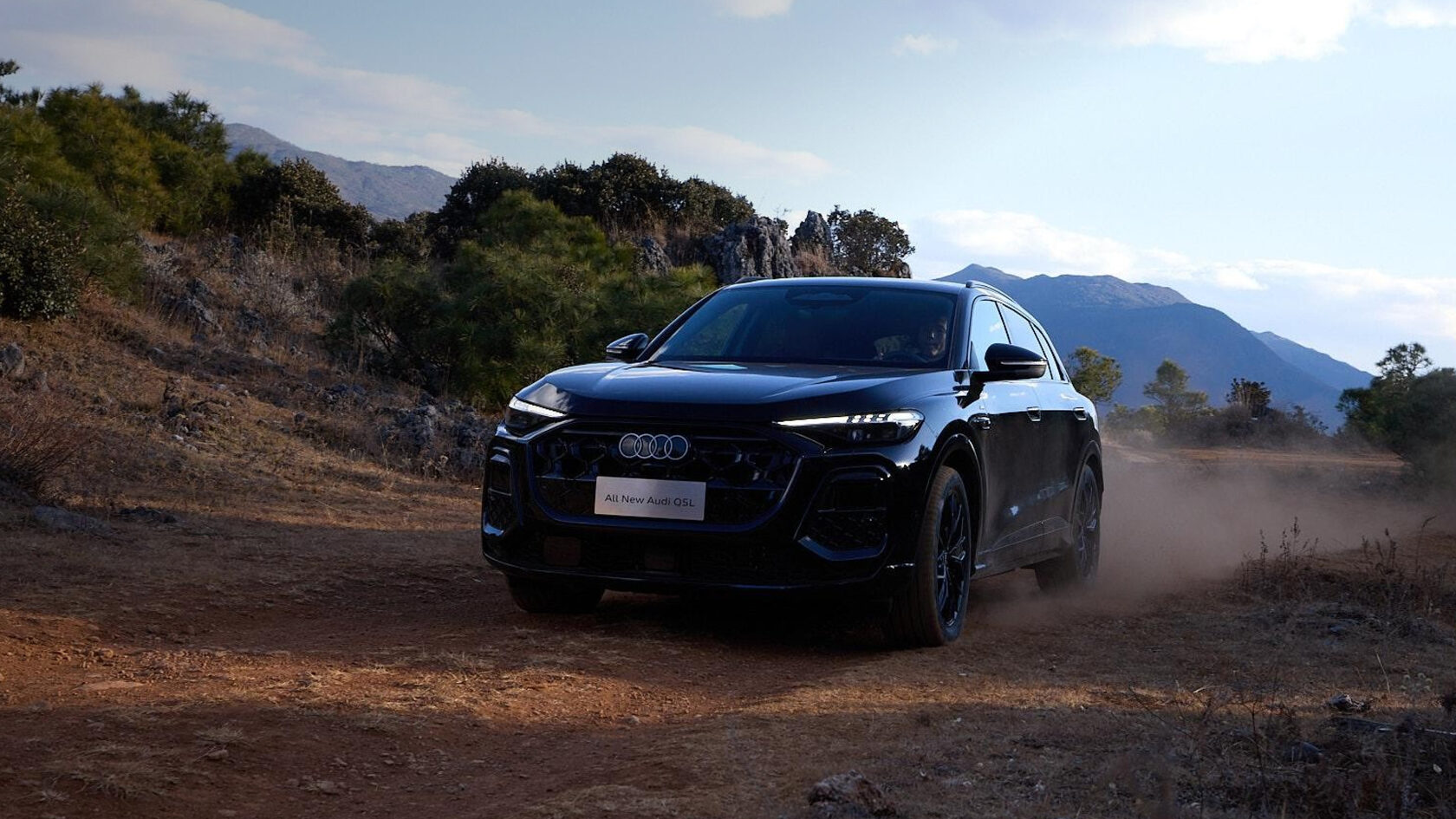 Audi Q5L на загородной дороге