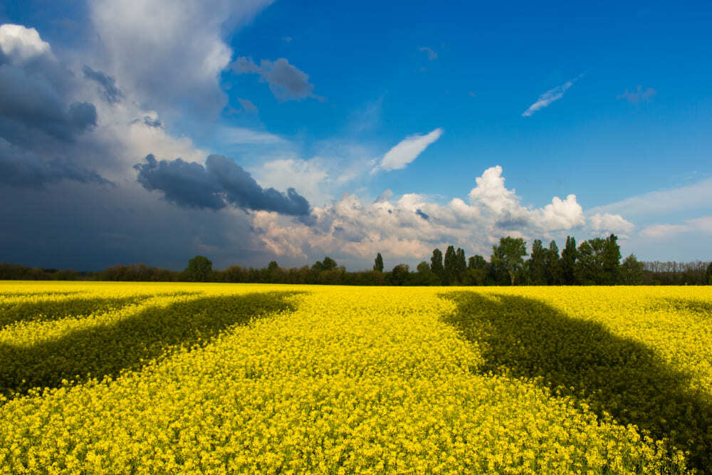 Виза для украинцев