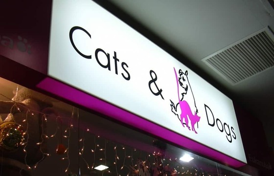 Световой короб дешево