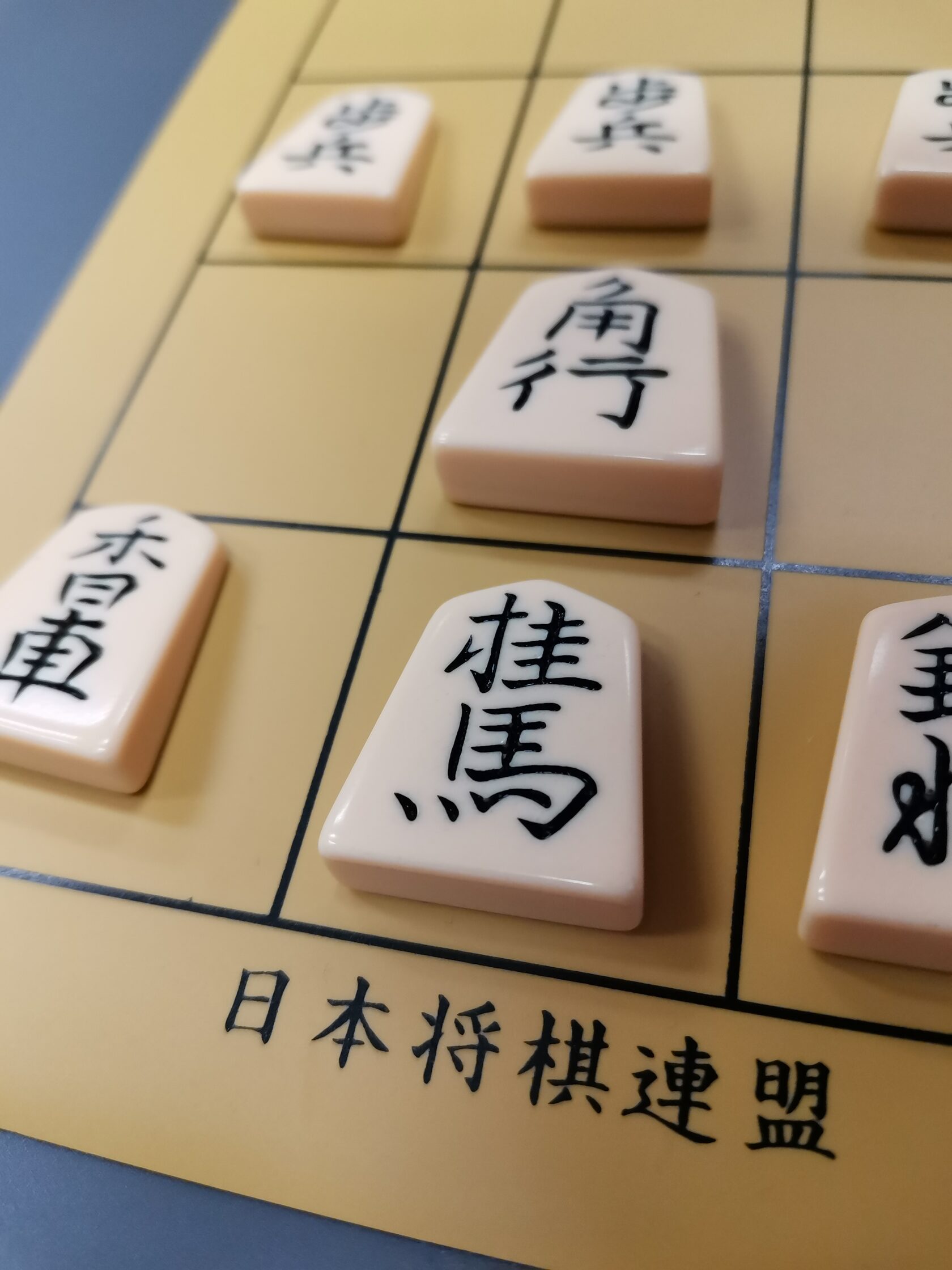 Японские шахматы Сеги