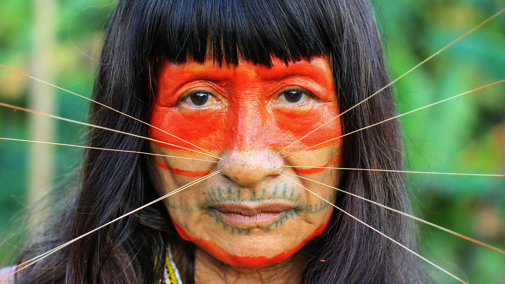 Племена москвы. Пираха Эверетт. Племя индейцев Амазонии.