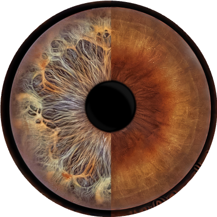 сканер радужки глаза