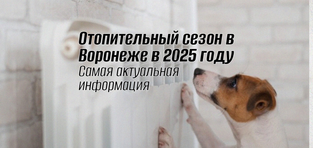 Отопительный сезон в Воронеже 2025 в сентябре geek hostel news