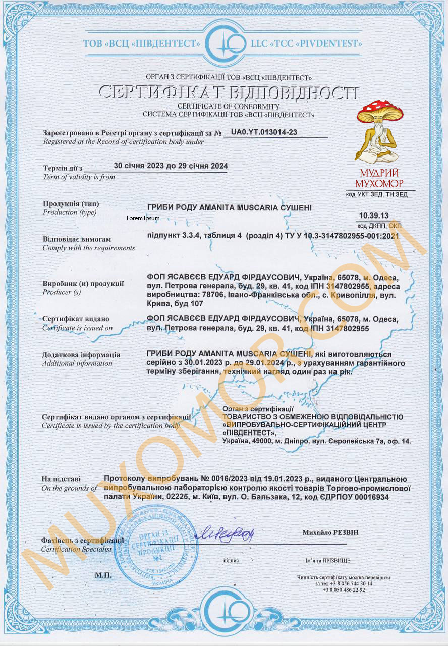 Купити Червоний мухомор капелюшки (сушений) в Україні. Мікродозинг ...