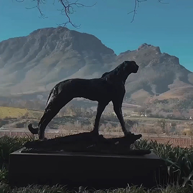 Кейптаун — тур YARD TRAVEL