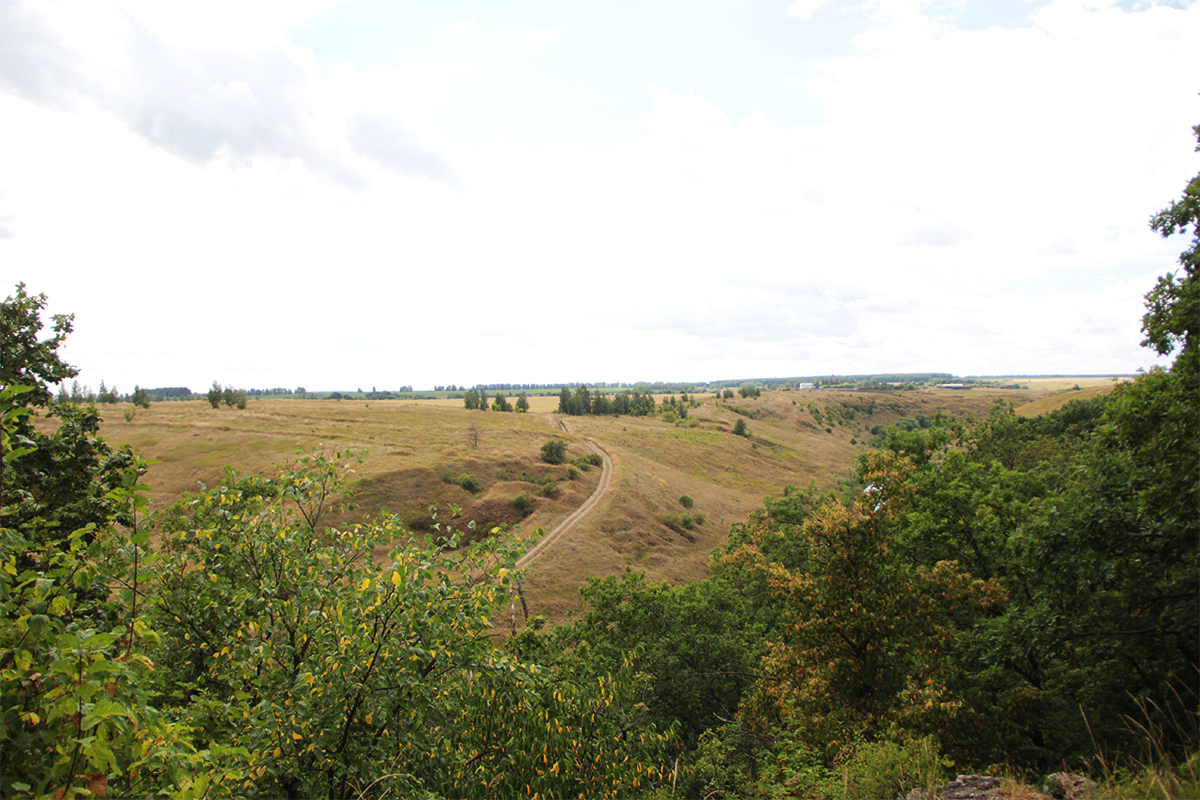 Курганинск гугл карта