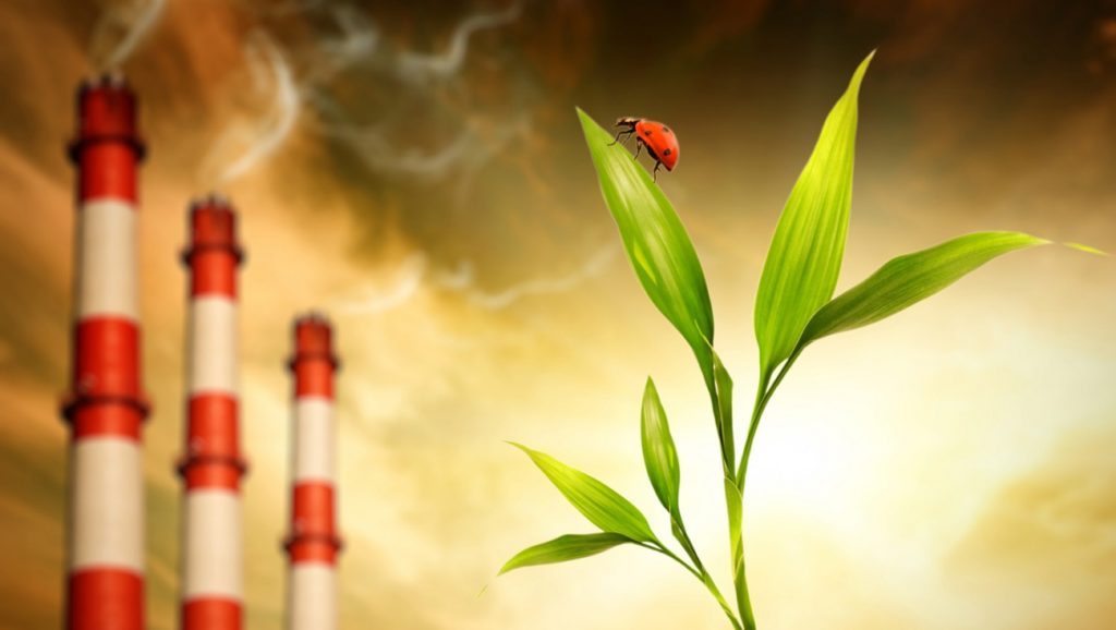 Экологическая экспертиза