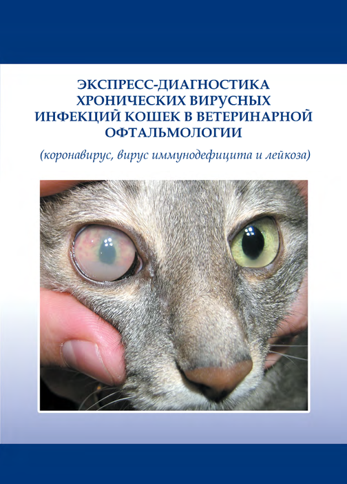 Экспресс-диагностика хронических вирусных инфекций кошек в ветеринарной ...